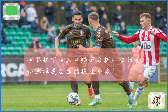 世界杯下注入口赔率分析，你该如何选择更合适的投注平台？