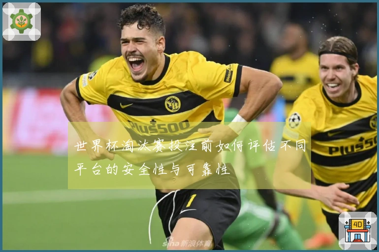 世界杯淘汰赛投注前如何评估不同平台的安全性与可靠性