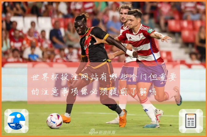 世界杯投注网站有哪些冷门但重要的注意事项你必须提前了解吗