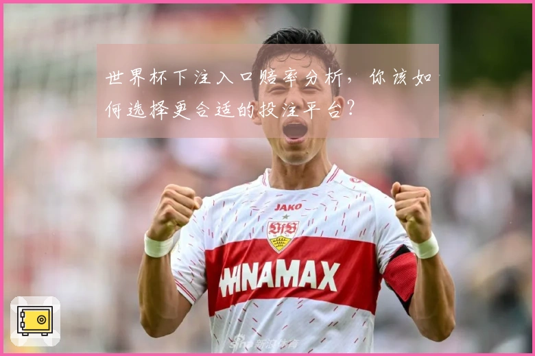 世界杯下注入口赔率分析，你该如何选择更合适的投注平台？
